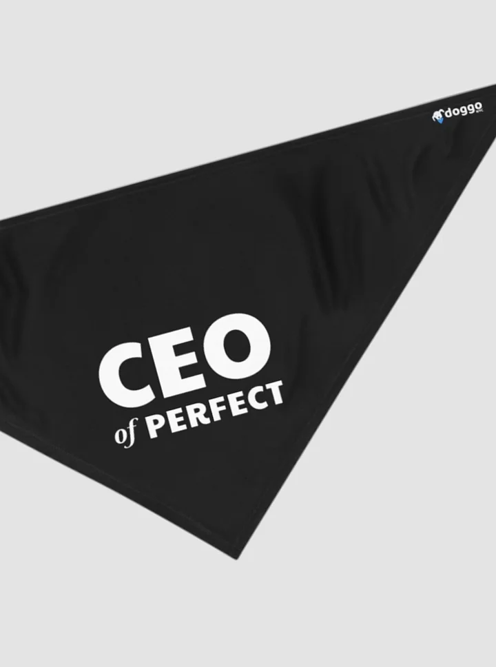 CEO Of Perfect product image (1)