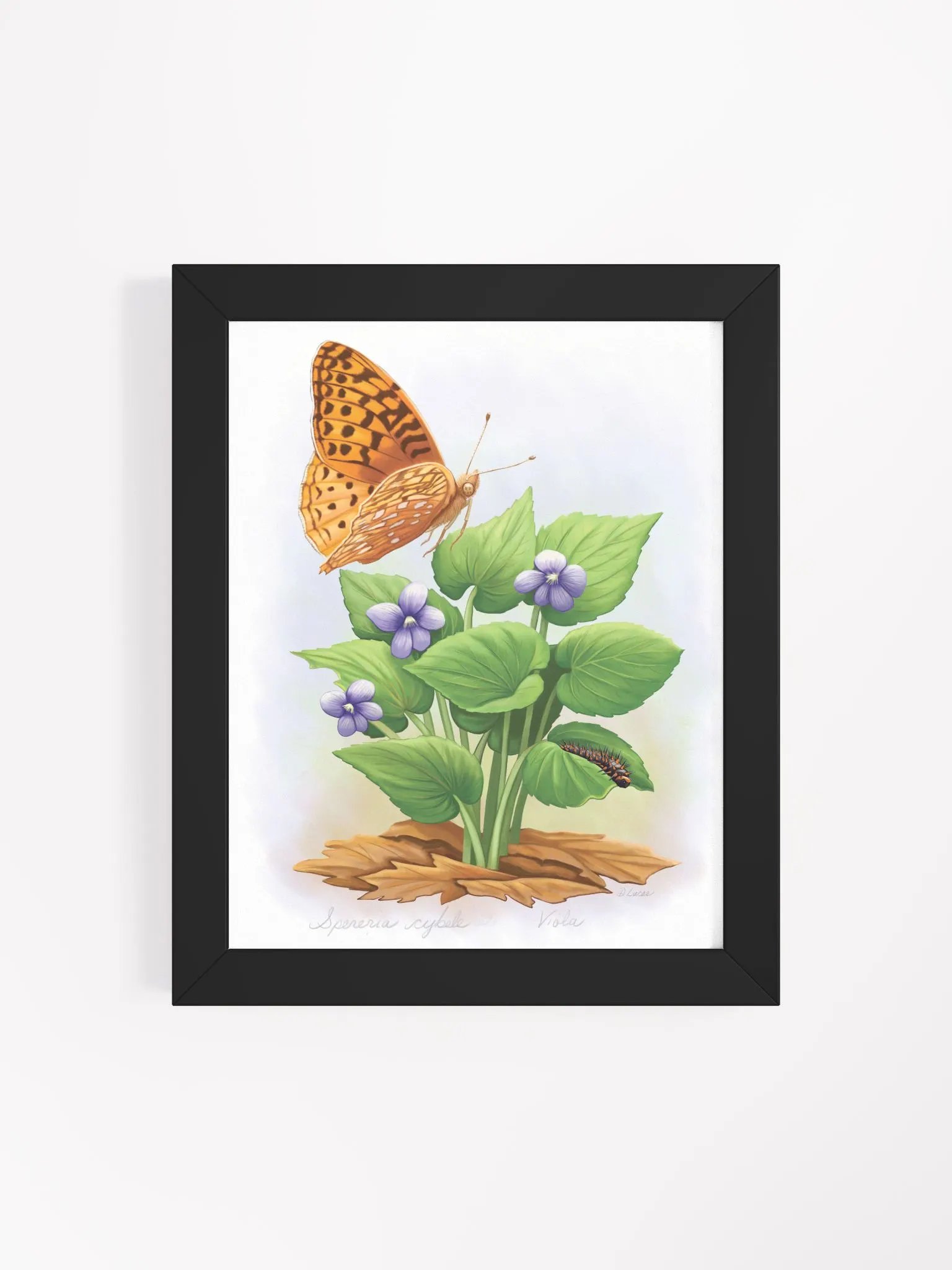 Fritillary Butterfly product image (40)
