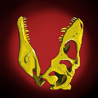 Vividen: Fossil Fits