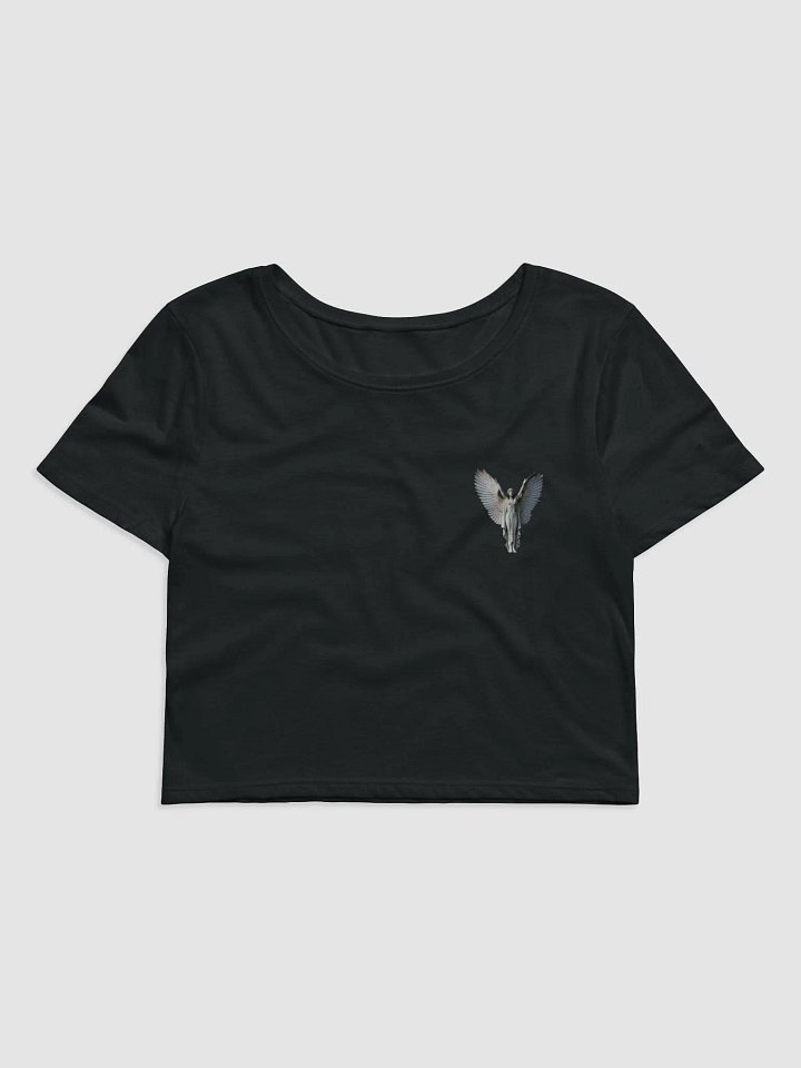 Majestic Angelic Wings Crop Tee product image (1)