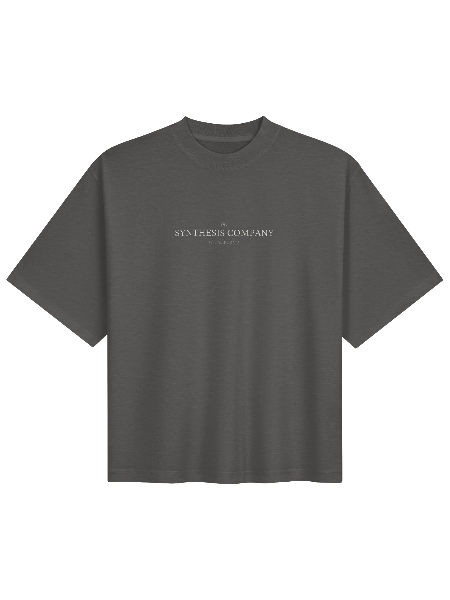 Synthesis — Horizon Band Tee / Shadow product image (1)