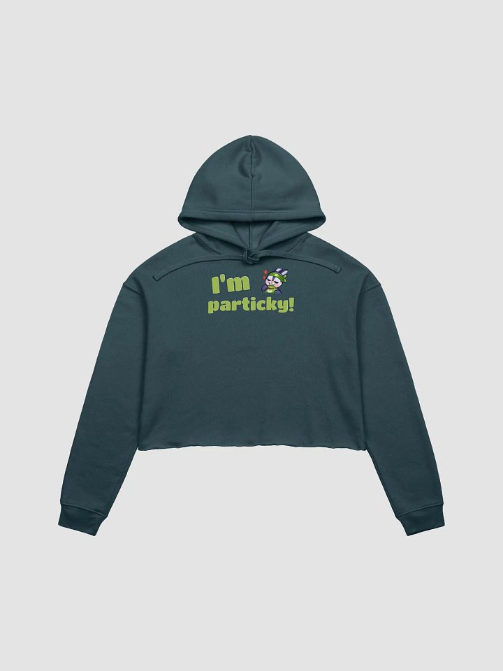 Particky Crop Hoodie product image (1)