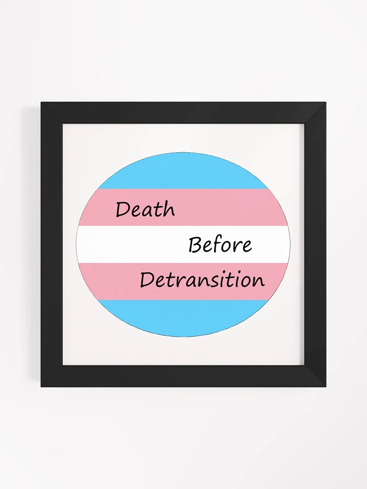 Death Before Detransition Poster product image (2)
