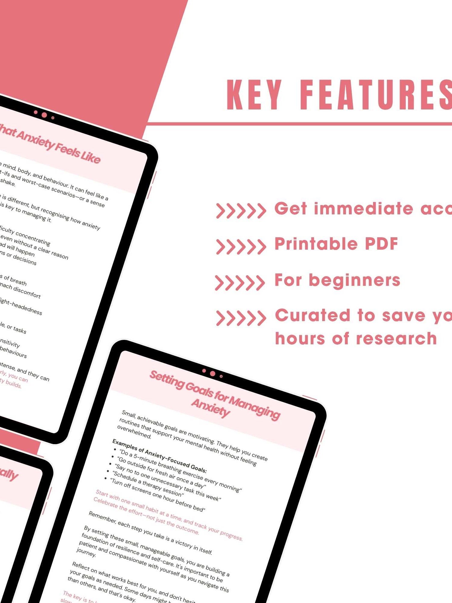 Anxiety Guide Workbook product image (3)