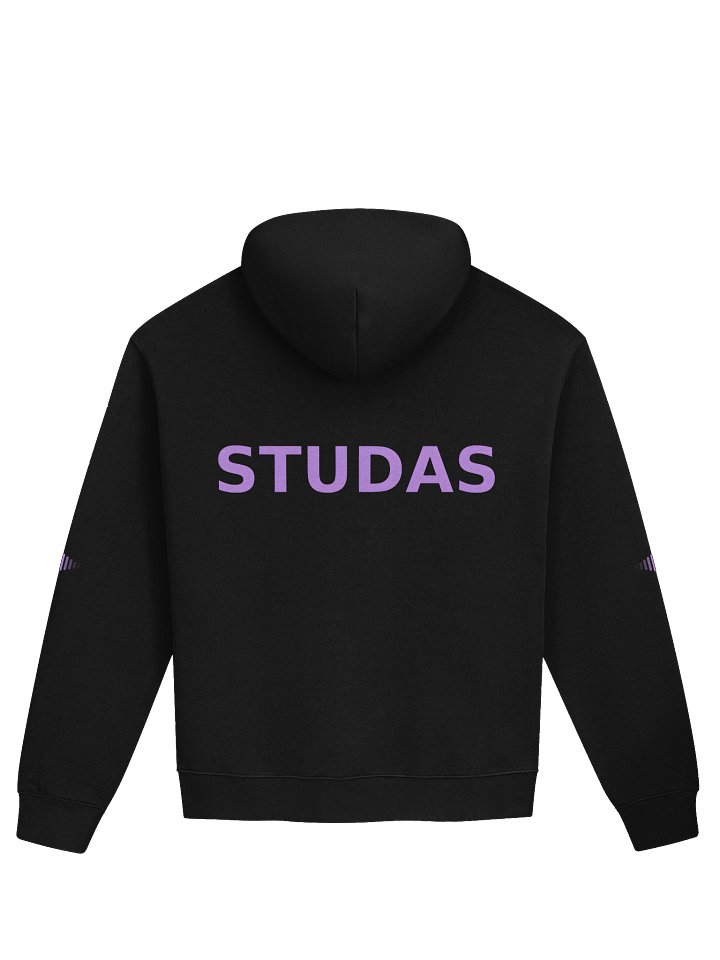 The Session Hoodie. product image (2)