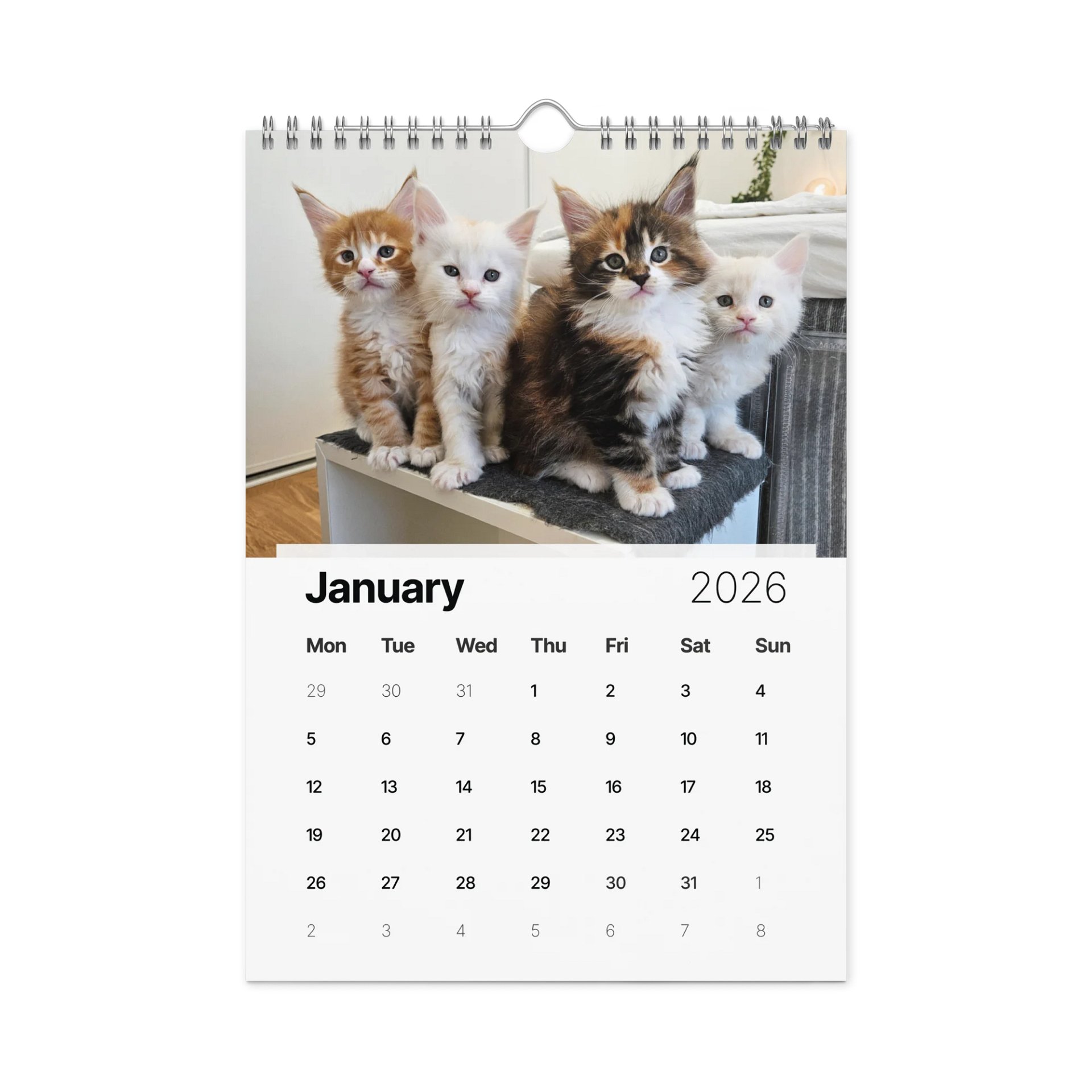 2026 Calendar - Maine Coon Adventures + Kittens product image (11)