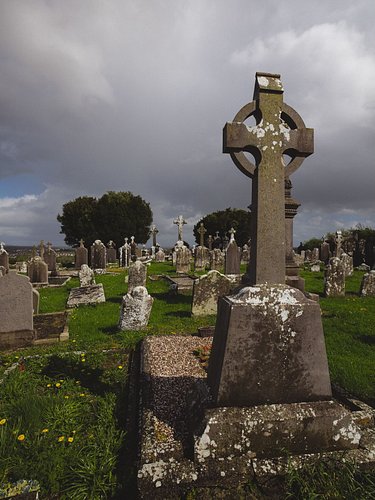 Ireland allowed me to reconnect with part of my ancestry through the arts and gardens. The first part of my vlog is live on P...