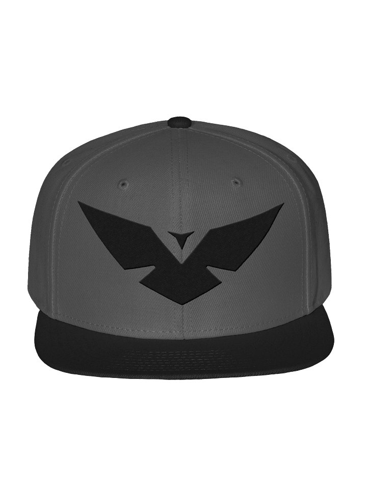 Black Logo Snapback product image (2)