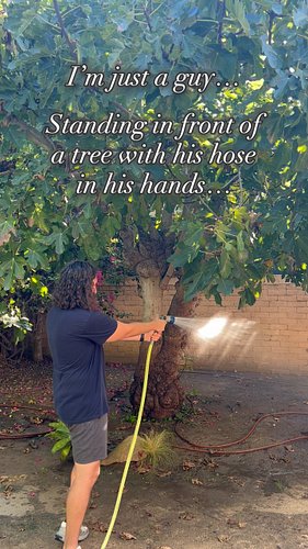 When you strip everything else away, who I am becomes quite simple. 

#figs #figtrees #nottinghill #moviequotes #figfluencing