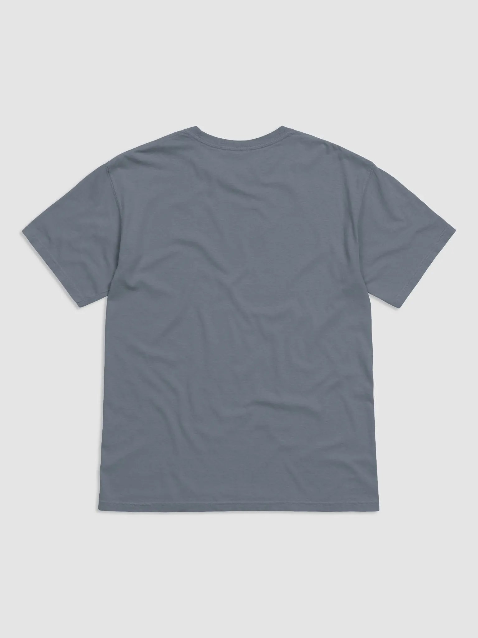 ADH...Did you know T Shirt product image (2)