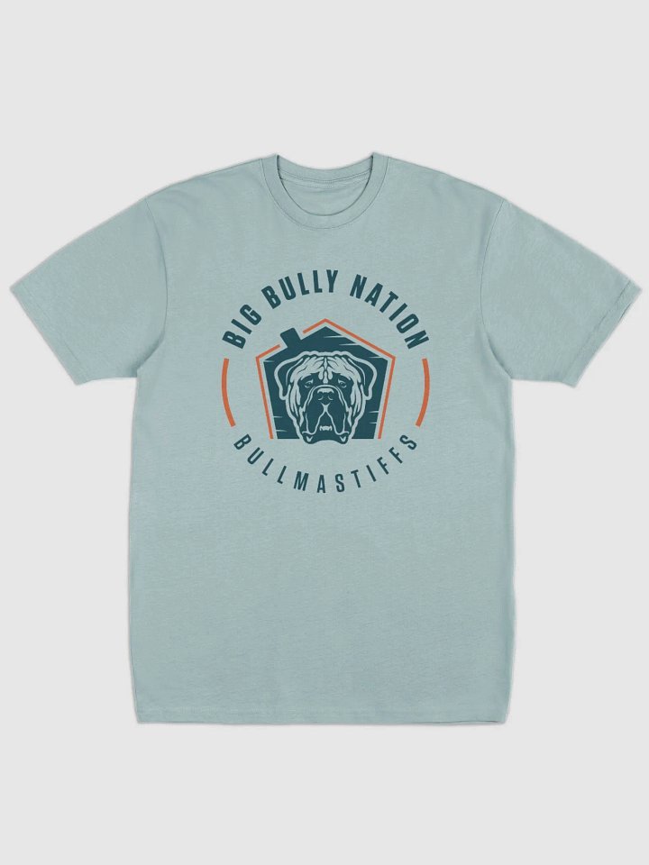 BBN Logo 2 Men's Tee product image (6)