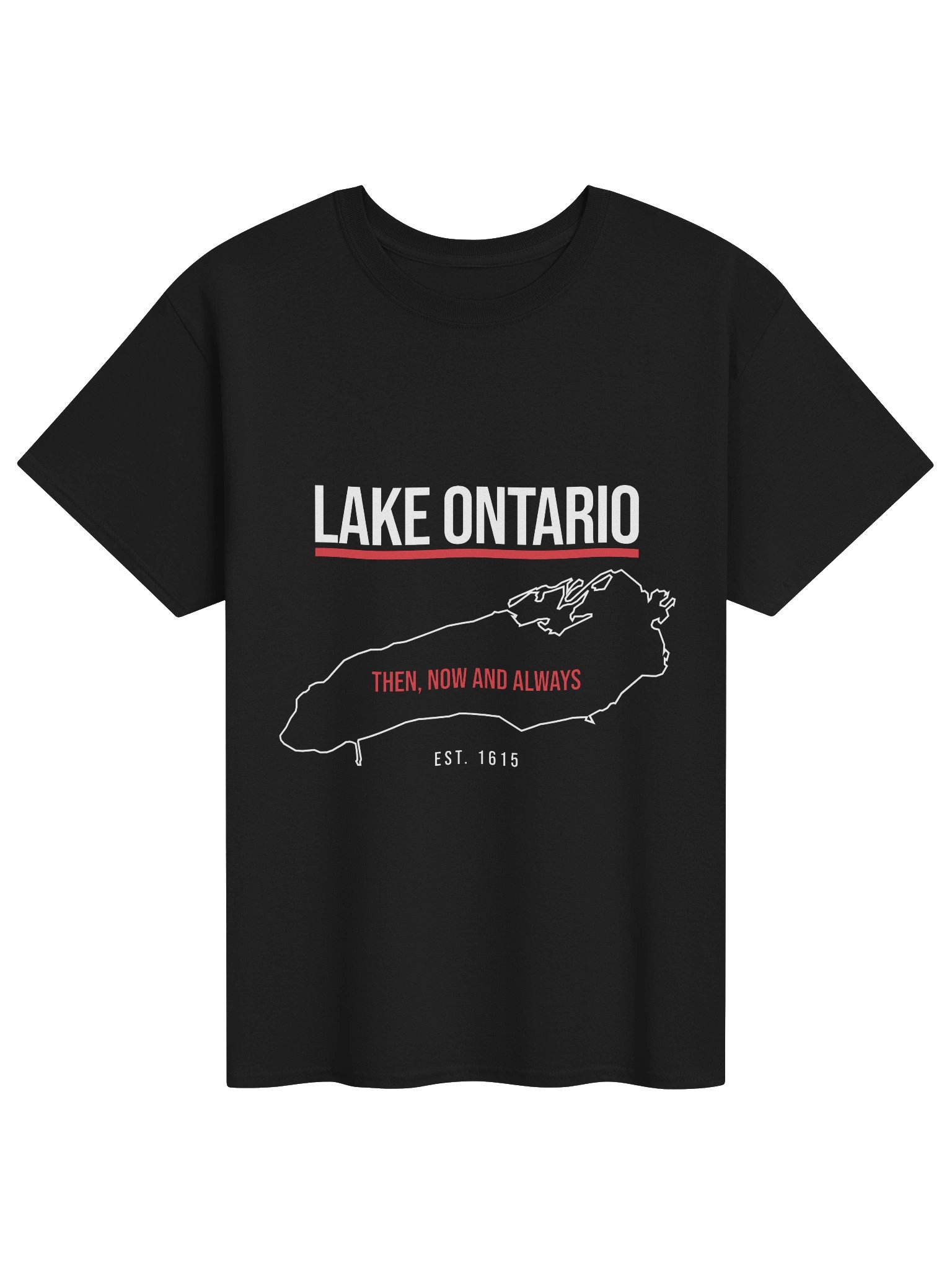 Lake Ontario Graphic Tee | Heavyweight Canadian Streetwear product image (3)