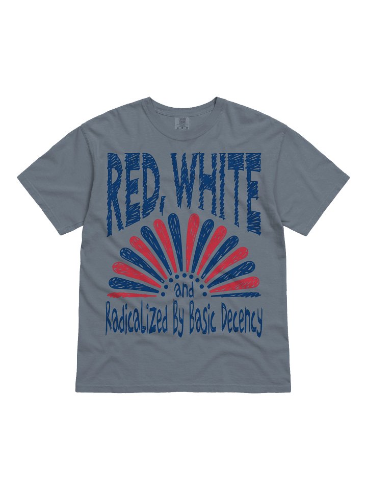 Radicalized By Basic Decency, Hand Sketch Aethetic Patriotic T shirt product image (7)