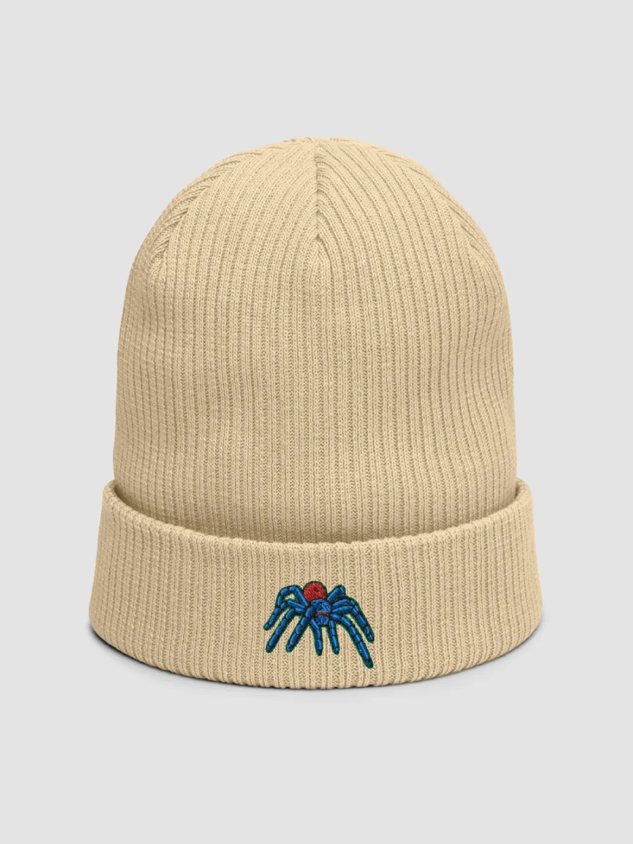 Green Bottle Blue Tarantula Organic Ribbed Beanie product image (1)