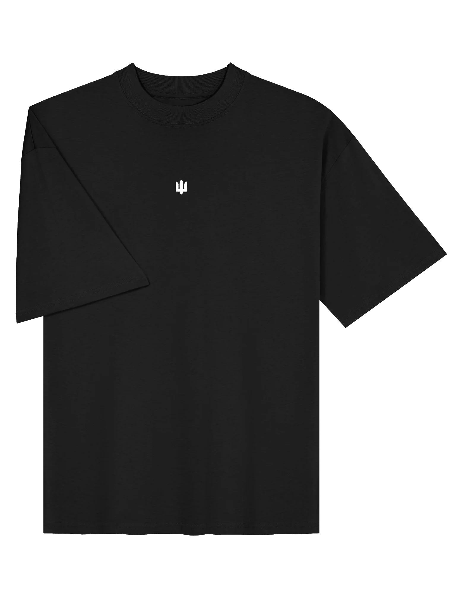 Classic Tryzub Oversized Tee product image (4)