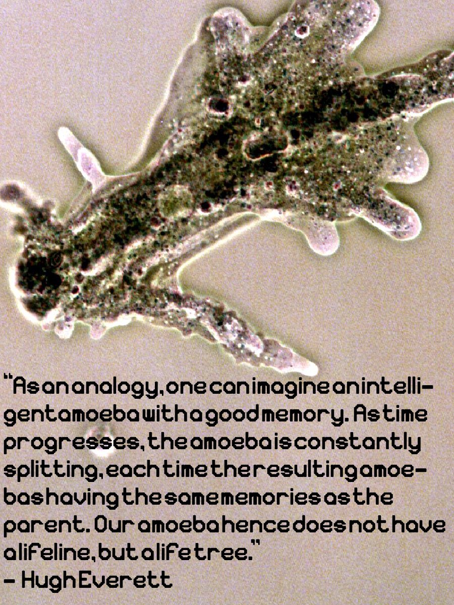 Sarcodina font product image (3)