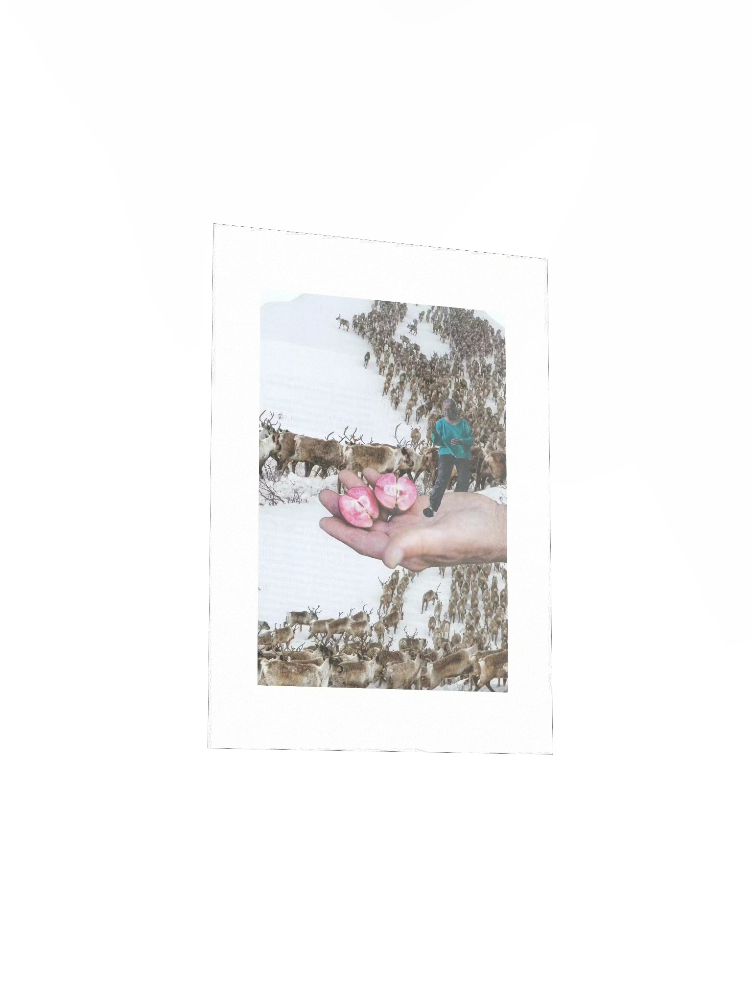 Become what you are product image (9)