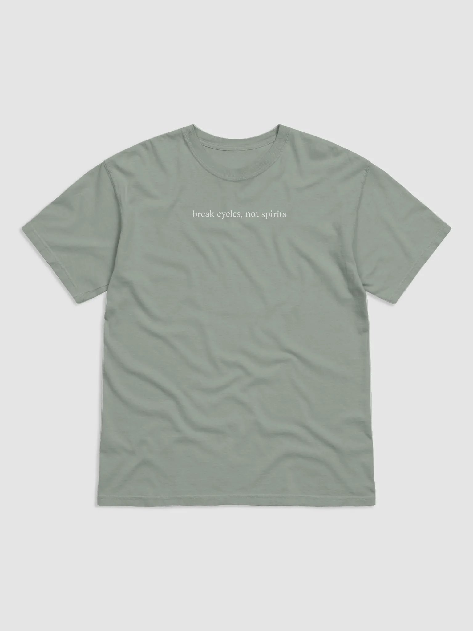 Break Cycles Not Spirits Tee product image (4)