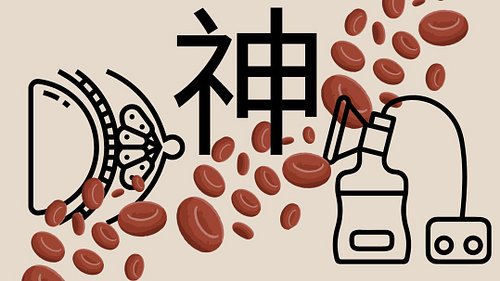 Personal Essay | If the blood is deficient, the spirit, or shen, cannot rest.

𝗙𝗶𝗻𝗱 𝗠𝗲𝗱𝘂𝘀𝗮 𝗥𝗶𝘀𝗶𝗻𝗴 𝗽𝗼𝘀𝘁𝘀 𝗮𝘁
Web: 𝗵𝘁𝘁𝗽𝘀://𝗯𝗶𝘁...