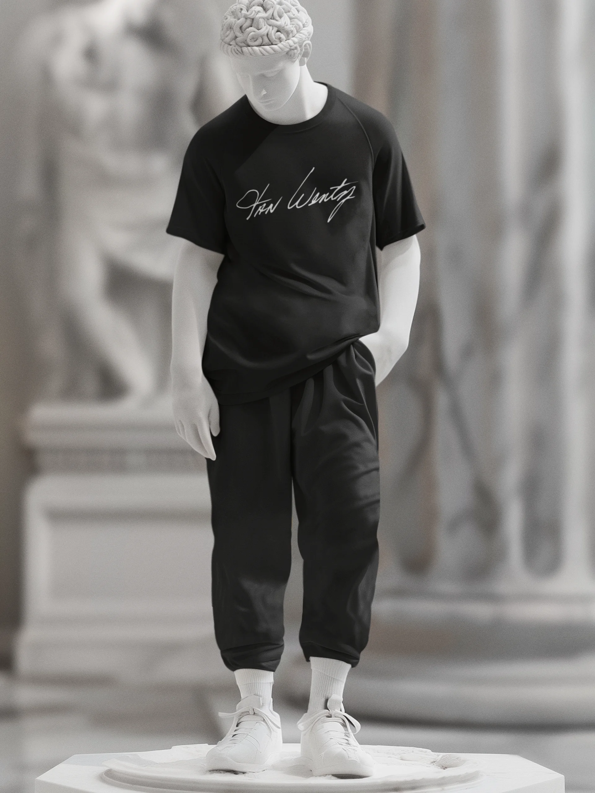 Van Wentz Premium Test product image (2)