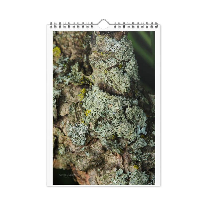 Likin' Lichen 2025 Wall Calendar product image (1)