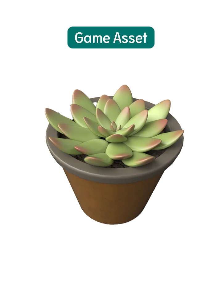 succulents product image (1)