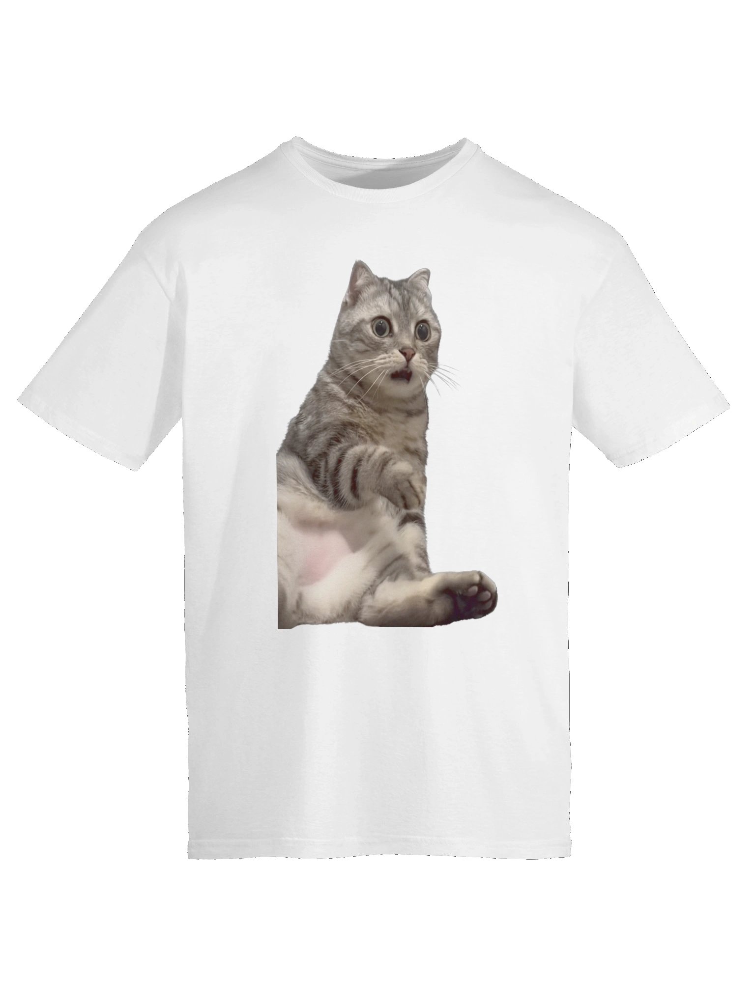 Scared Cat Meme T-Shirt product image (9)