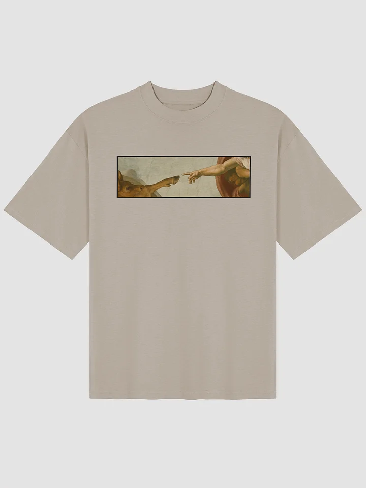 The Creation Of Animals Oversized Tee product image (2)