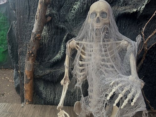 My 2026 Haunted House Sneak Peek | The Pirates Cave Room 

Here’s some photos I took of 1 of the rooms in my 2026 haunted hou...