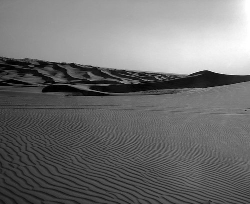 Al Madam Desert in mono. 🏜🌵🐪 #UnforgettableInstagrammer #desert #safari #monochromatic #sand #arena #desierto #sun #dubai #du...