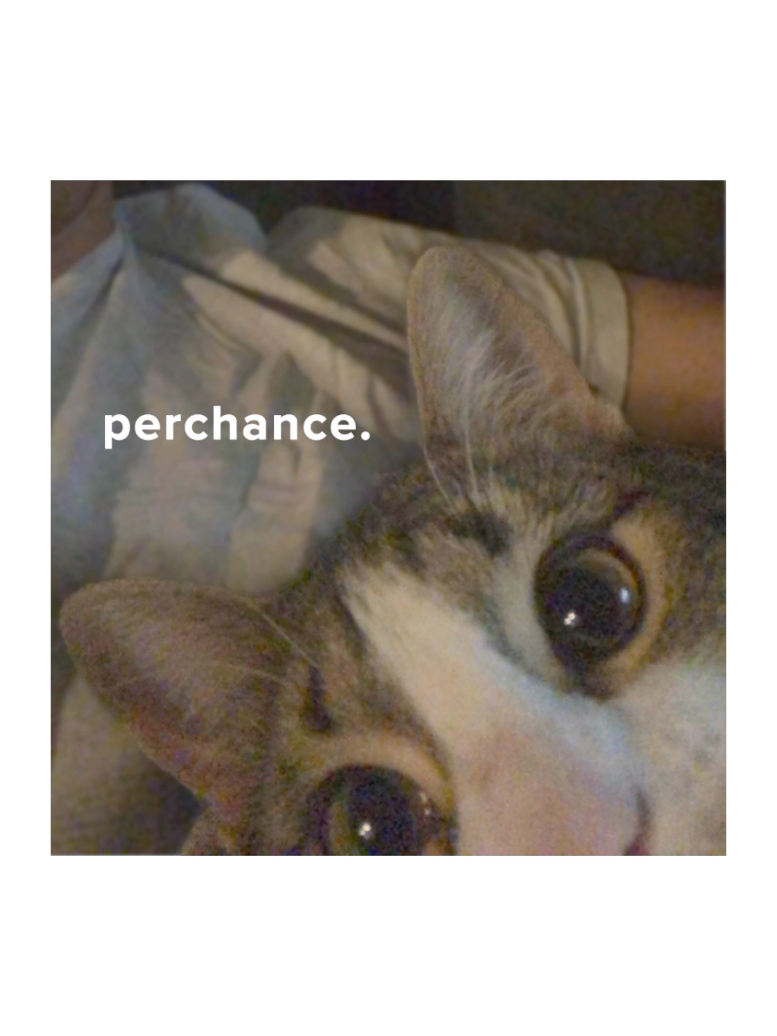 Perchance? product image (1)
