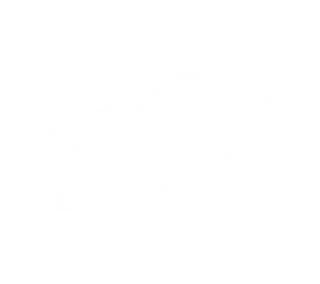 Pirate Rex