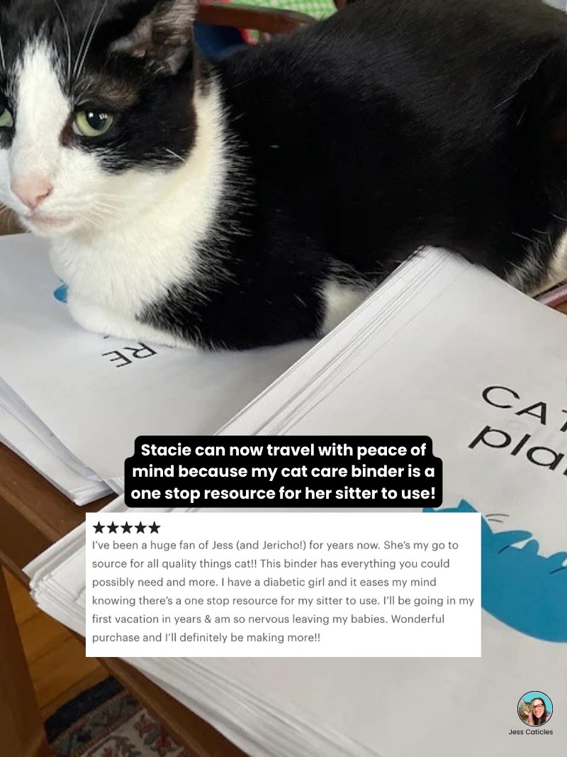Cat Care Binder Bundle ~ Undated Printable and Digital Planners product image (8)