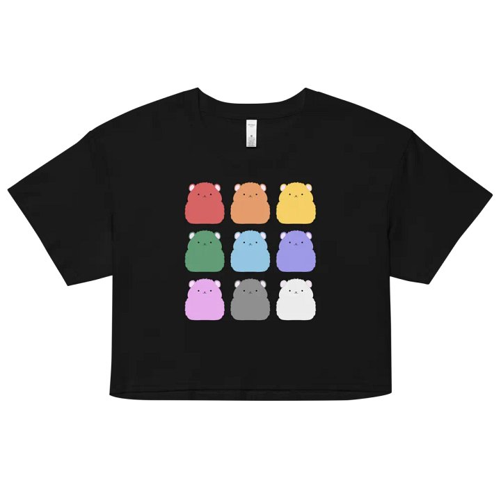 Rainbow Hamster Colours - Crop Tee product image (1)