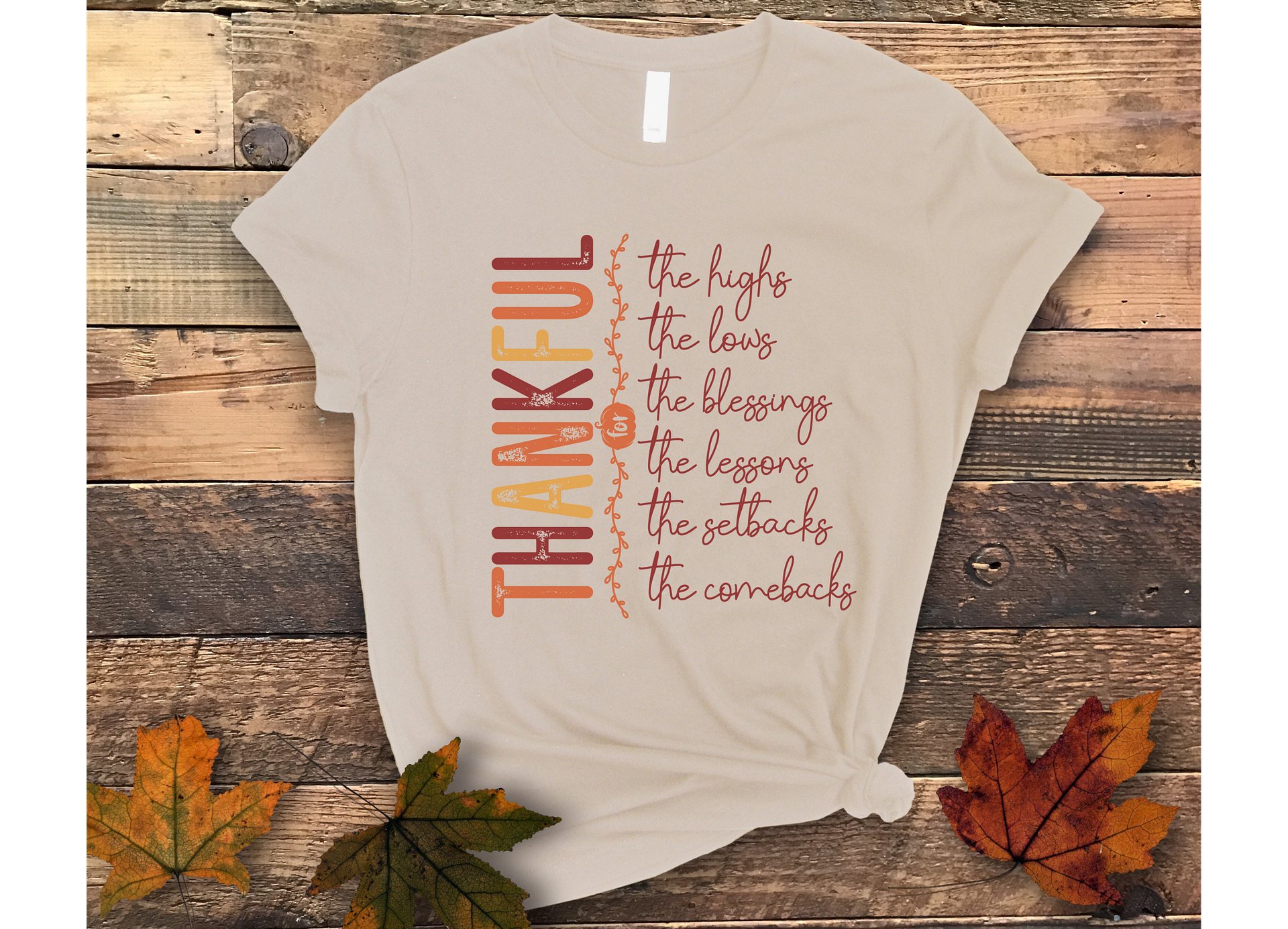 Thankful Reflections T-Shirt product image (1)