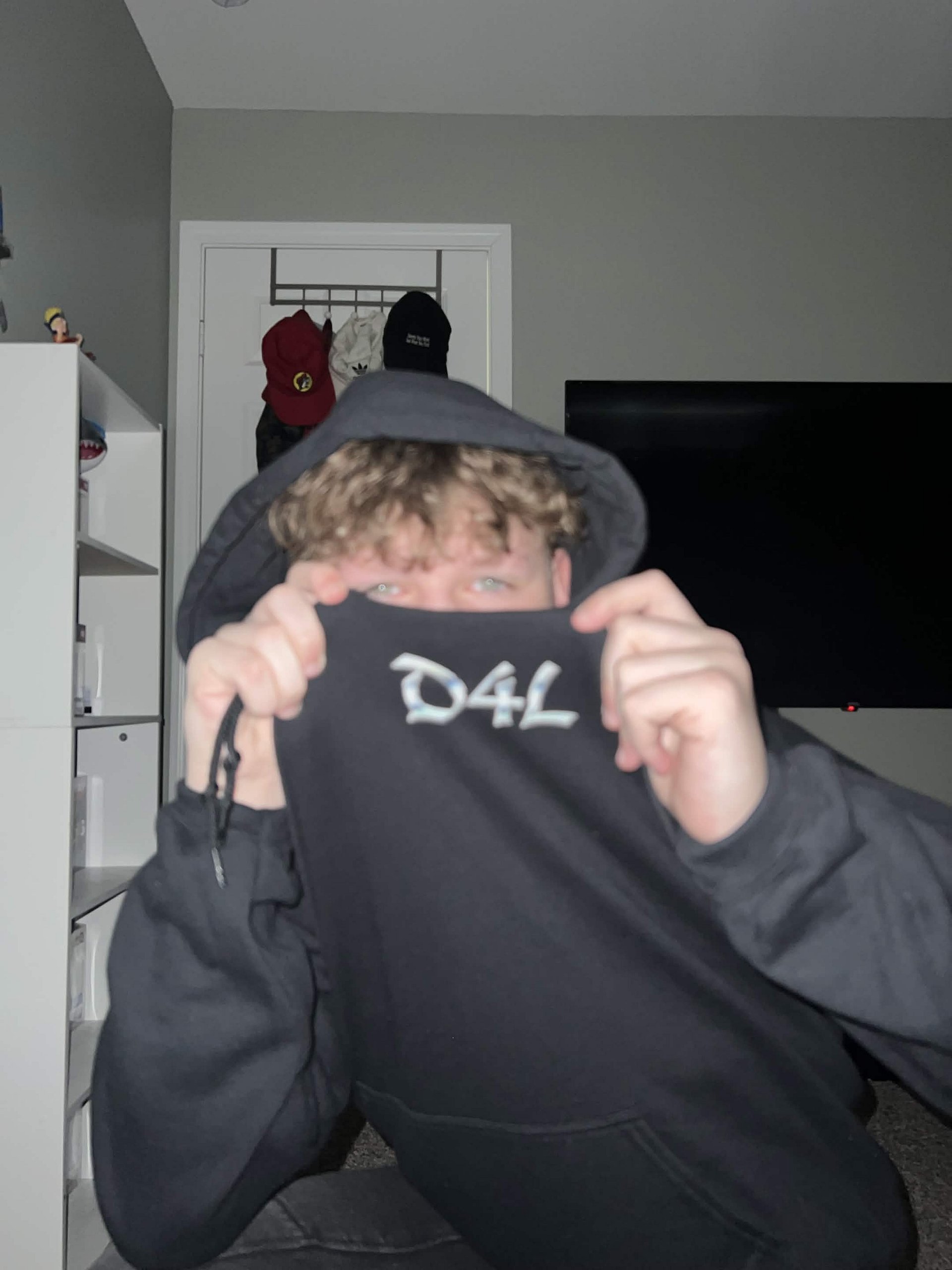 D4L Chrome Basic Hoodie product image (13)