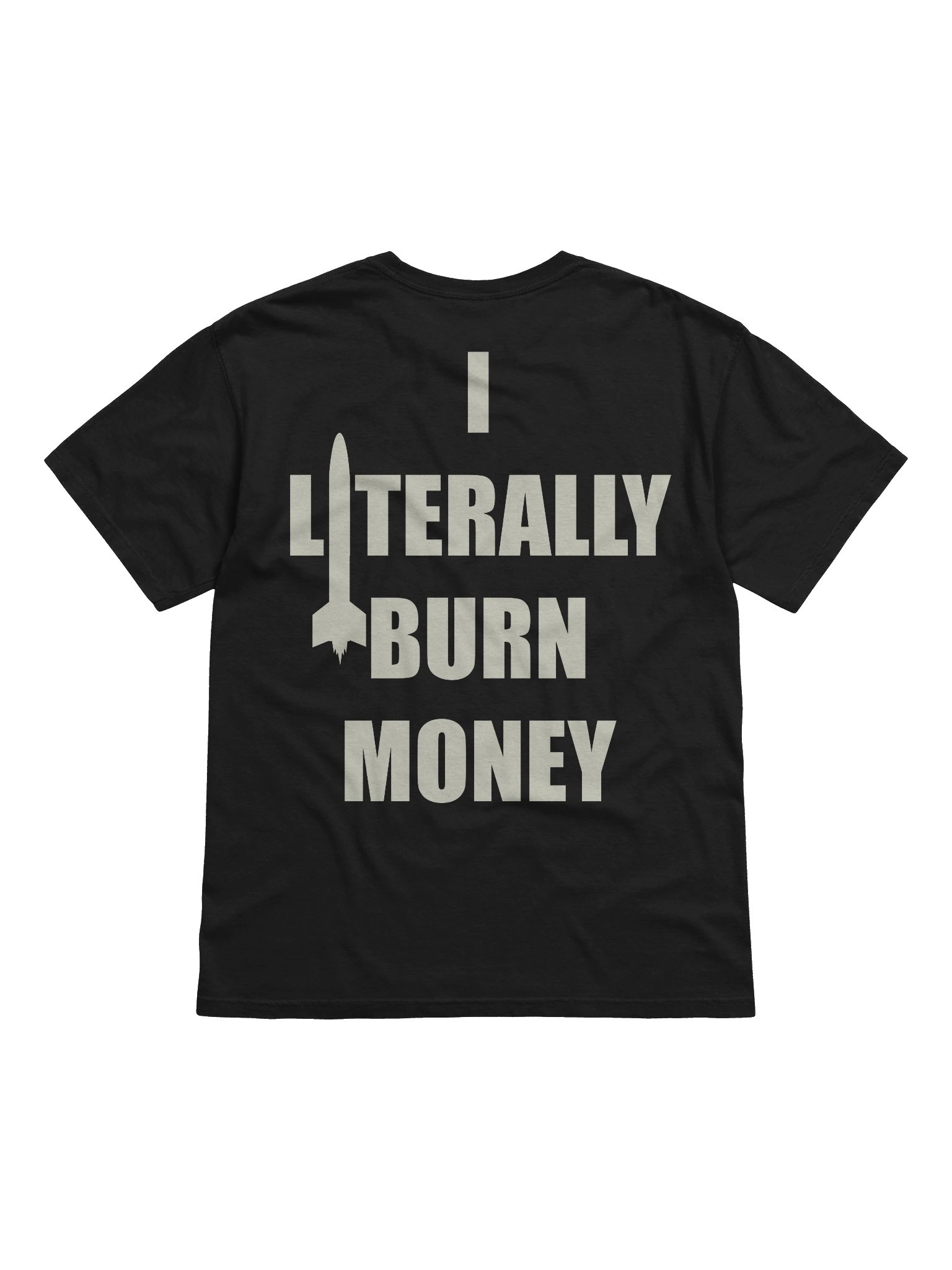 I Literally Burn Money product image (12)
