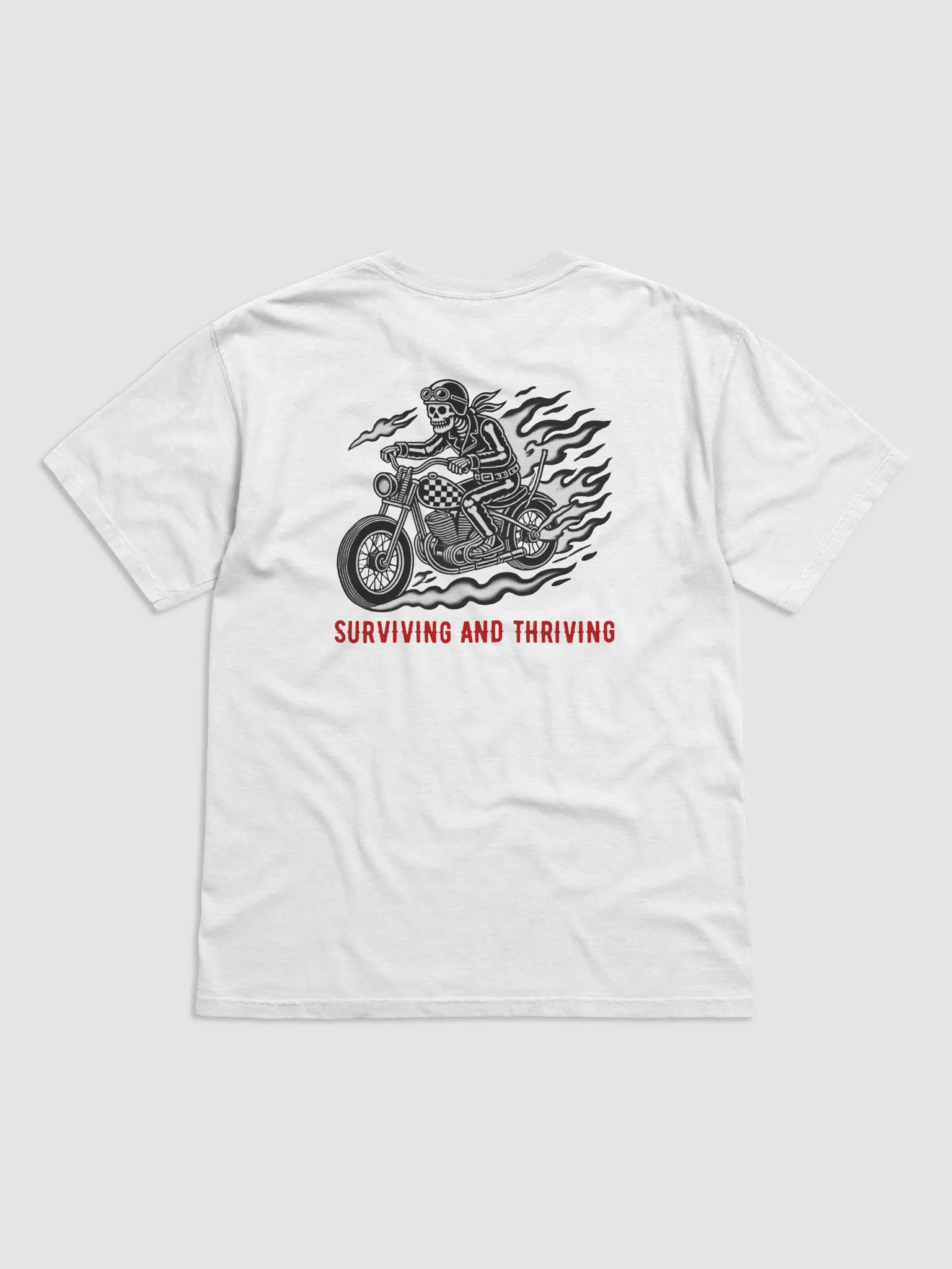STEVO product image (2)