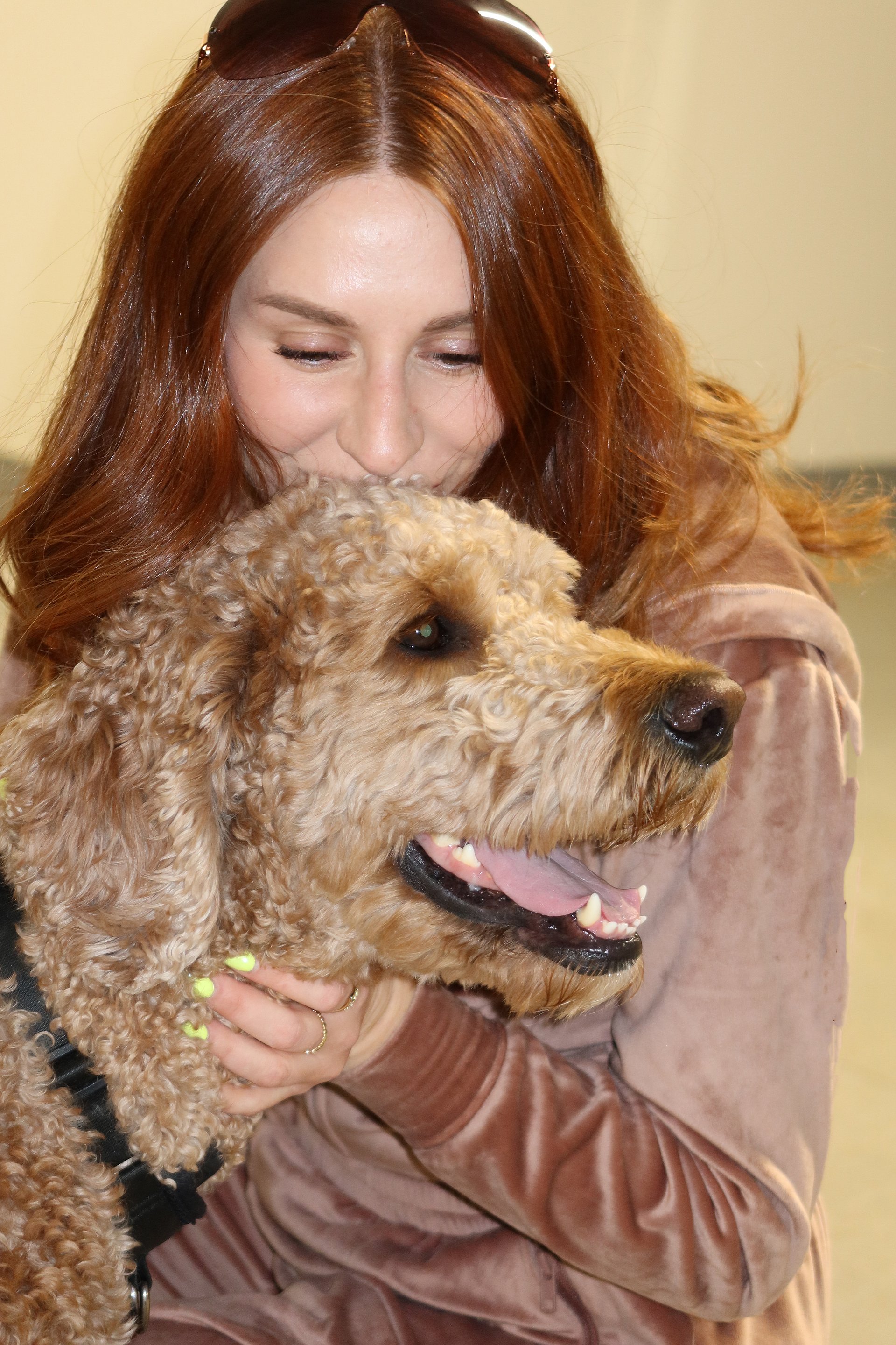 Petty Couture Velour Track Pants product image (12)