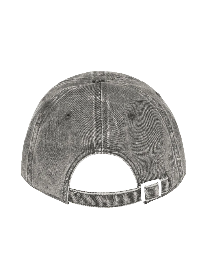 BWSH Cap product image (7)