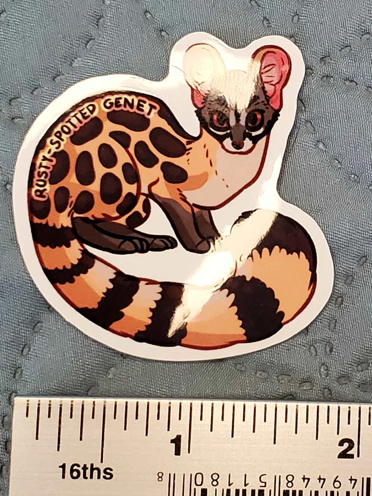 Rusty-Spotted Genet Sticker product image (2)
