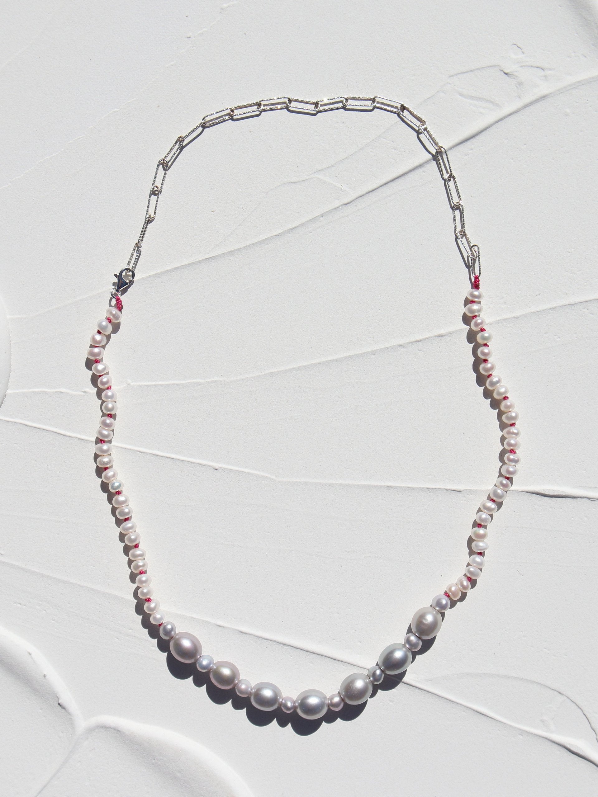 Oleander product image (1)