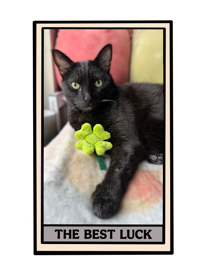 The Best Luck tarot card sticker product image (1)