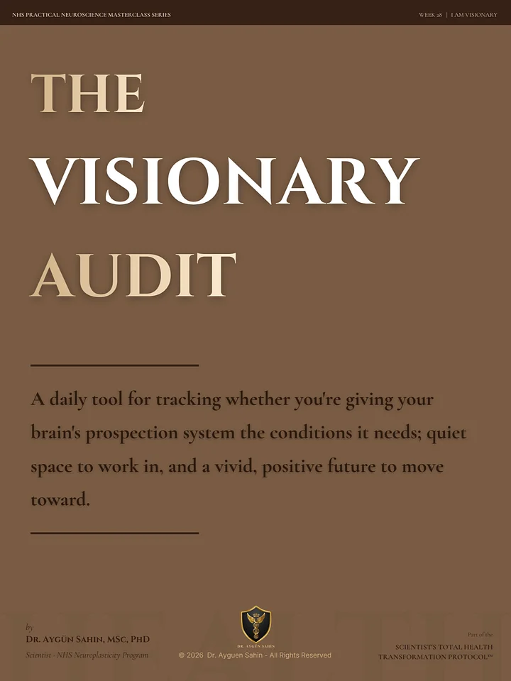 The VISIONARY Audit product image (1)