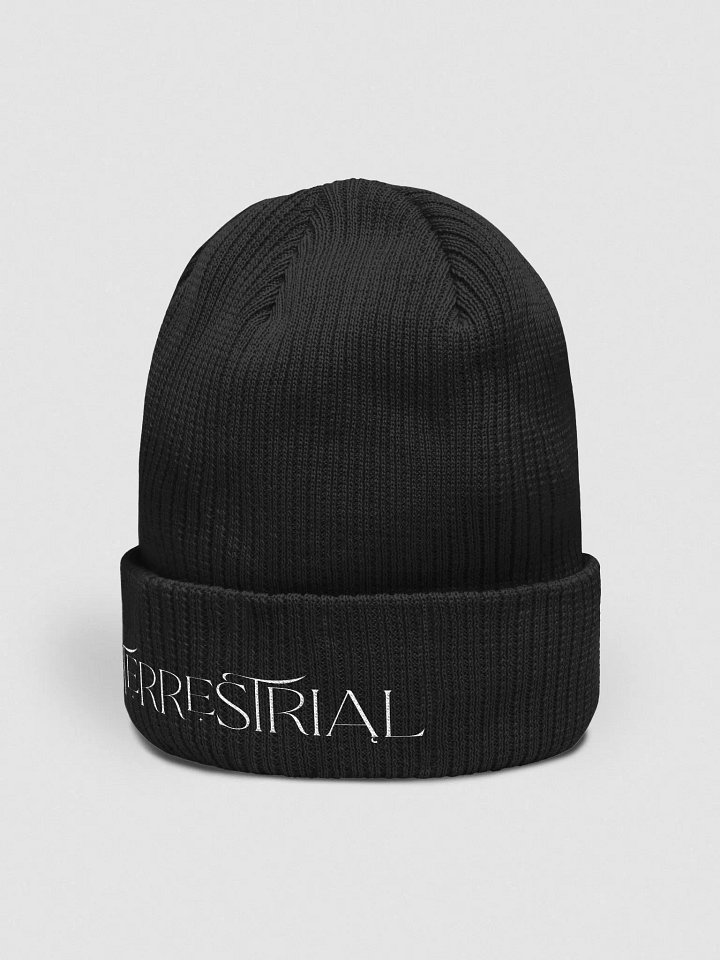 Terrestrial Logo Organic Beanie product image (4)
