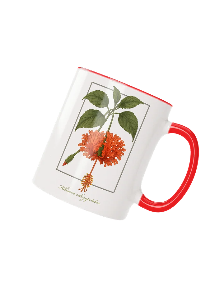 Hibiscus schizopetalus Flower - mug product image (3)