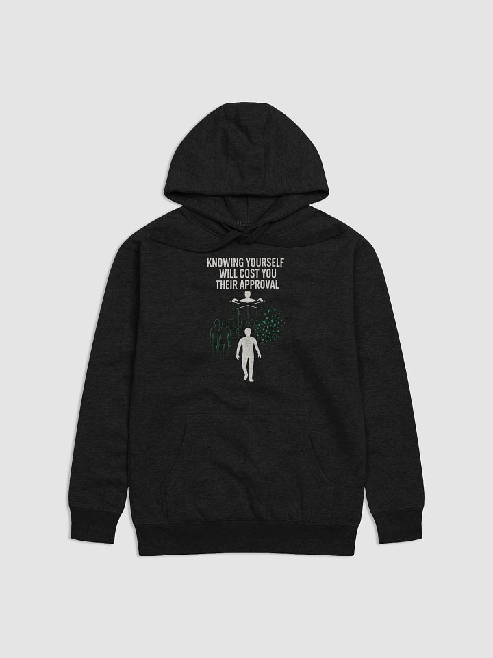 Knowing yourself will cost you their approval Hoodie product image (1)