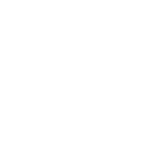 Merchandise - D2 Lost Sector Report