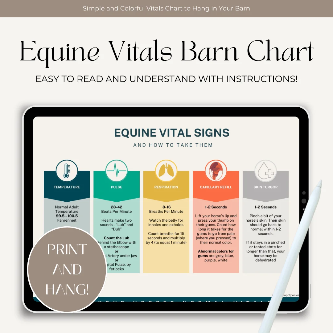 FREE Equine Vitals Chart Download product image (1)