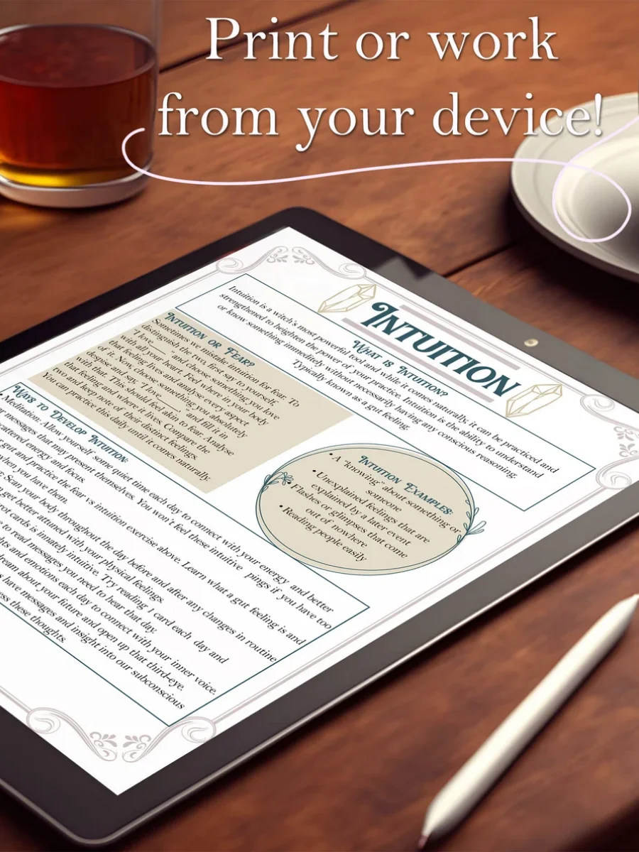 Intuition Guide product image (6)
